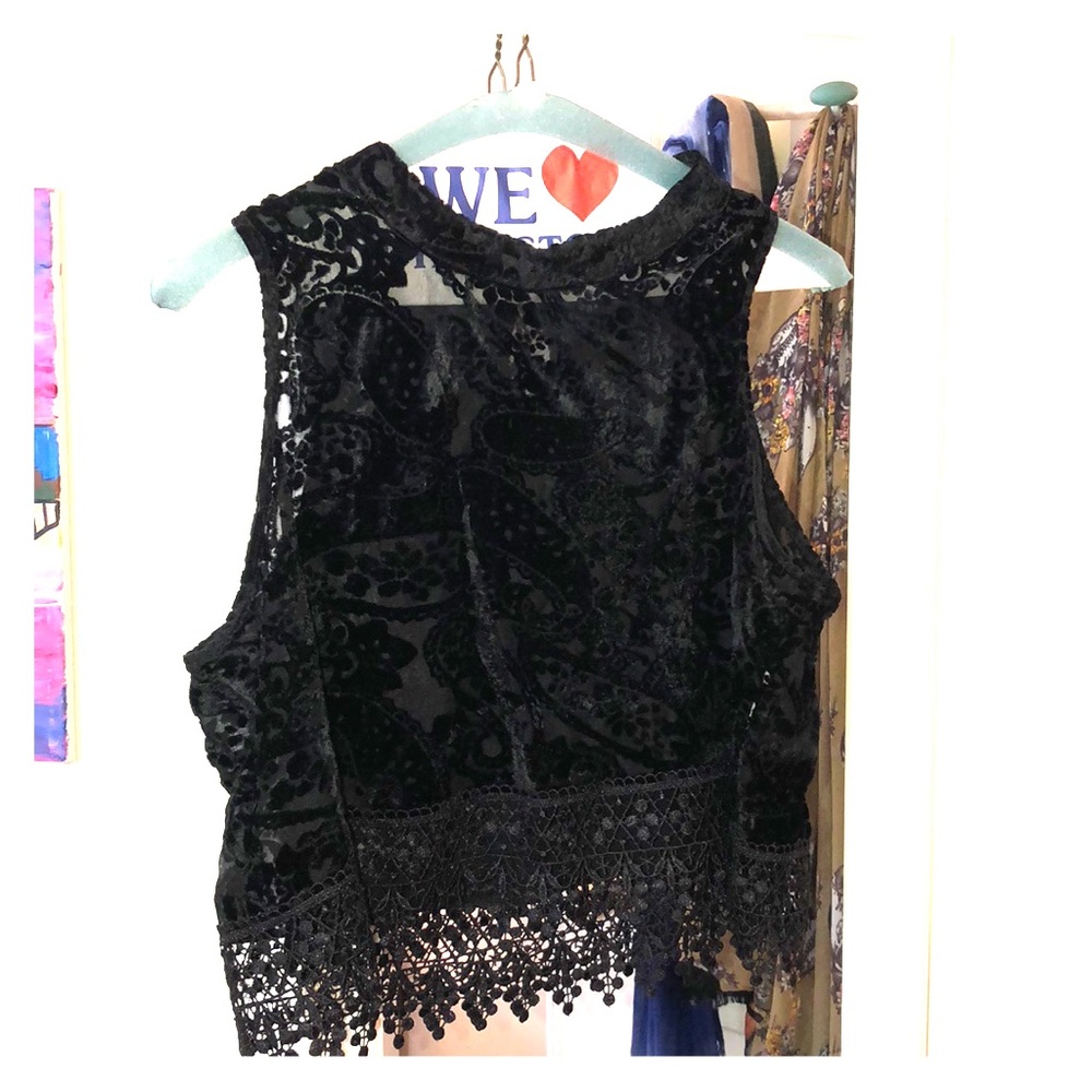 Black velvet lace crop top